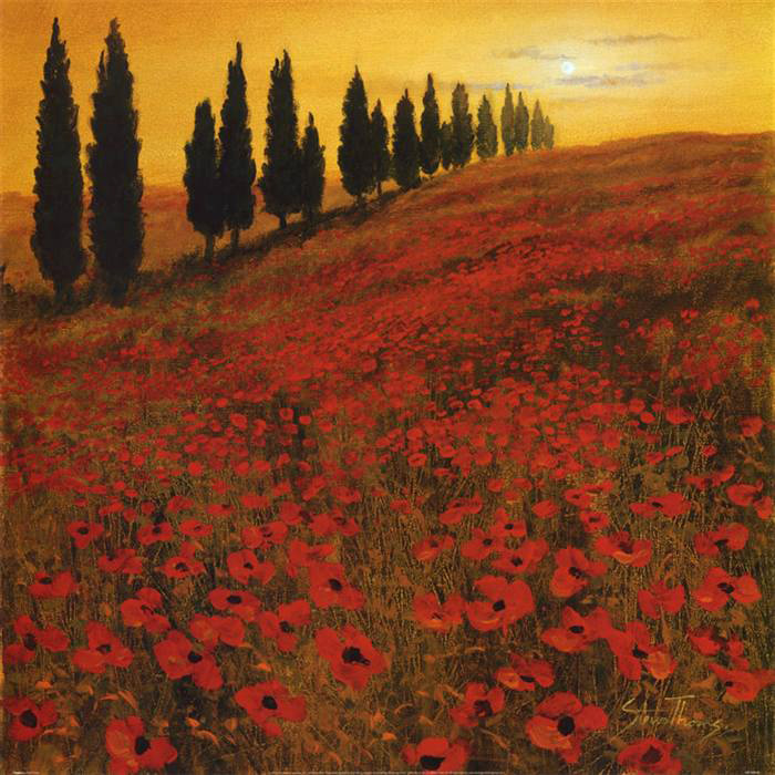 Poppies i painting - Steve Thoms Poppies i art painting